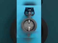 ¿Qué es una válvula de mariposa motorizada?