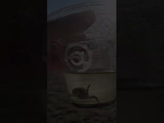 Válvula de mariposa de ventilación con brida de acero al carbono de 50 mm 400 mm 300 mm